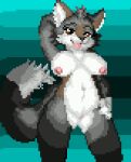 anthro big_breasts breasts canid canine canis coyote digital_media_(artwork) female mammal nipples pixel_(artwork) simple_background solo the_shen wolf
