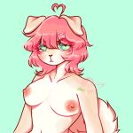 anthro breasts canid canine canis domestic_dog female green_eyes hair heart_eyes heart_symbol hi_res mammal nipples peachypuppie pink_hair solo tail
