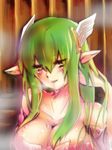  1girl blush breasts bust cleavage elf elsword green_hair large_breasts long_hair pointy_ears rena_(elsword) solo steam upper_body wet 