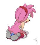  2015 amy_rose anal dildo female hedgehog mammal masturbation nude sega sex_toy solo sonic_(series) the_other_half tongue tongue_out 