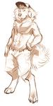  2015 anthro canine clothed clothing digitigrade dog fluff fur half-dressed hat hoot looking_at_viewer male mammal plain_background shorts sketch smile smug solo topless 