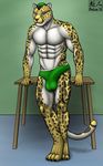  2015 4_toes abs anthro aolun balls biceps big_balls big_penis black_hair bulge cheetah clothed clothing digitigrade feline fur furniture green_eyes green_hair hair half-dressed king_cheetah looking_at_viewer male mammal markings muscles pecs penis solo spots table toes toned topless underwear white_fur yellow_fur 