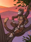  2015 anthro balls flaccid humanoid_penis male mammal markings monkey muscles penis primate sitting solo tsaiwolf 