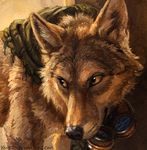  2015 brown_eyes brown_fur canine eyewear fur goggles headshot_portrait kenket male mammal painting portrait shaded smile solo steampunk wolf 