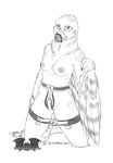  2014 anthro avian bdsm beak belt bird bondage bound breasts chain chastity chastity_belt digital_media_(artwork) falcon feathers female gag locks looking_at_viewer muzzle_(object) muzzled nipples nude open_mouth pinup pose sketch smile solo straps temrin wings 