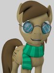  3d ambiguous_gender cutie_mark equine eyewear fan_character feral glasses looking_at_viewer mammal my_little_pony pegasus scarf smile solo wings 