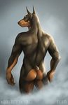  2015 anthro butt canine doberman dog english_text male mammal nude rotarr solo text 
