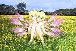  colette_brunel collete_brunel conjoined crackspider multi_head tales_of_symphonia 