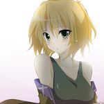  bad_id bad_pixiv_id banned_artist blonde_hair blush detached_sleeves green_eyes mizuhashi_parsee mutsu off_shoulder open_clothes short_hair sleeveless solo touhou 