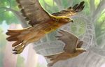  ambiguous_gender armor atmospheric_perspective avian beak bird bird_of_prey duo dutch_angle feathered_wings feathers feral flying james_ryman low-angle_shot magic_the_gathering official_art side_view talons vegetation wings 