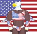  abs american_flag anthro avian beak biceps big_muscles bird briefs brown_body bulge cape clothing eagle feathers flag hicanyoumooforme male muscles shirt solo stars_and_stripes tank_top underwear united_states_of_america yellow_eyes 