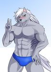  abs anthro blush canine clothed clothing half-dressed male mammal muscles pretty_cure soonico speedo swimsuit topless underwear wolf wolfrun 