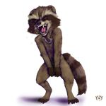  alpha_channel anthro covering covering_self ears_back fangs front_view furfit guardians_of_the_galaxy male mammal nude open_mouth plain_background raccoon rocket_raccoon saliva sharp_teeth signature snarling solo standing teeth transparent_background 