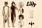  anthro balls butt canine dog eddy edesk fox hindpaw hybrid looking_at_viewer male mammal model_sheet nude pawpads paws penis solo standing toes 