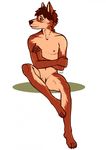  anthro canine dog male mammal nude penis plain_background pose solo wolf 