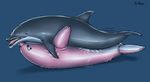  ambiguous_gender blue_eyes cetacean dolorcin dolphin dripping feral inflatable looking_pleasured lying mammal marine masturbation on_back open_mouth saliva sex_doll sex_toy thrusting tongue tongue_out 