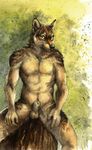  2015 anthro balls canine fully_sheathed fur kenket male mammal muscles nude outside penis sheath sitting smile solo wolf 