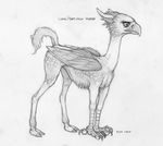  2015 ambiguous_gender avian bird camelid eagle ecmajor feral gryphon llama mammal sketch solo wings 