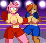  2015 amy_rose anthro areola big_breasts boxing breasts chipmunk clothed clothing duo erect_nipples female half-dressed hedgehog mammal nipples rodent sally_acorn sega sonic_(series) supersonicrulaa topless 