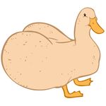  absurd_res ambiguous_gender avian bald big_butt bird butt digital_media_(artwork) duck duckbutt feral hi_res huge_butt solo unknown_artist vector what_has_science_done 