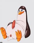  animal_genitalia anus avian bird character_from_animated_feature_film crazedg erection front_view genital_slit kowalski looking_down madagascar male penguin penis precum reclining slit solo tapering_penis the_penguins_of_madagascar 