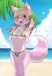  2014 anthro beach blush breasts brown_hair canine chinchirabbit clothed clothing cloud eyewear female fur glasses green_eyes hair looking_at_viewer mammal open_mouth outside pink_fur pink_nose sand seaside sky solo swimsuit teeth water 