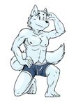  anthro bulge canine clothing male mammal mysterymanbob solo underwear 