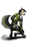  anthro canine digital_media_(artwork) dog husky latex_(artist) male mammal rubber suit 