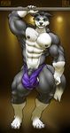  abs balls biceps black_hair border_collie bulge canine claws clothing dog filut green_eyes hair half-erect kimbyfox male mammal muscles nipples pecs penis pirun_(artist) solo thong torn_clothing vein 