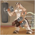  2015 aaron_(artist) abs animal_genitalia anthro balls biceps big_balls big_muscles big_penis bodybuilder bodybuilding brown_fur clenched_teeth dumbbell equine erection eyes_closed fur gym hair headphones hooves horse horsecock hyper hyper_penis male mammal mp3 muscles nipples nude pecs penis pose punching_bag solo standing teeth thick_penis toned vein weightlifting weights white_fur white_hair workout 