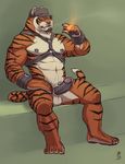  2015 abs anthro balls bruno_(evane) cigar dilf erection feline green_eyes harness hat male mammal muscles nipple_piercing nipples older_male pecs penis piercing rrowdybeast smoking solo stripes tiger 