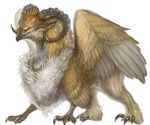  ambiguous_gender avian beak feathered_wings feral fluffy fur gryphon horn plain_background shina solo white_background white_fur wings yellow_eyes 