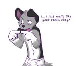  2013 briefs canine clothed clothing cobalthusky color dog embarrassed english_text fur gesture half-dressed humor husky male mammal monochrome open_mouth plain_background shy skimpy solo standing stated_homosexuality text the_truth tongue topless underwear what white_background 