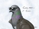  ambiguous_gender avian beak bird clothed clothing doodle_of_boredom english_text eyewear grey_feathers jacket outside pigeon reaction_image rock_dove simple_background sky solo sunglasses text 