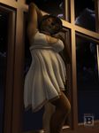  2015 anthro areola arm_behind_head bear blx24 breasts brown_fur brown_hair brown_nose cleavage clothed clothing cloud eyes_closed female fur hair inside lingerie mammal navel necklace nipples panties short_hair sky solo standing star translucent transparent_clothing underwear window 