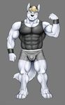  abs anthro barefoot biceps big_muscles black_nose blonde_hair bulge canine clothing dog flexing fur green_eyes hair hat looking_at_viewer male mammal maxima muscles nipples pecs pose ripped shirt shorts smile solo standing toned vein vest white_fur wristband 