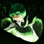  antennae arugeri cape fireflies green_eyes green_hair light open_mouth serious short_hair solo touhou wriggle_nightbug 