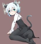  animal_ears ass bad_id bad_pixiv_id black_legwear blush cat_ears cat_tail green_eyes hirschgeweih_antennas kinakomoti looking_at_viewer military military_uniform open_mouth panties panties_under_pantyhose pantyhose sanya_v_litvyak short_hair silver_hair simple_background solo strike_witches tail underwear uniform world_witches_series 