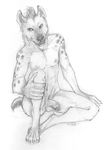  2015 anthro balls flaccid hyena male mammal nude penis sketch solo tsareia 
