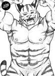  bipedal fangs feline male mammal muscles sabertooth tiggie 