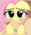  2015 bestiality equine erection fellatio female feral first_person_view fluttershy_(mlp) friendship_is_magic horse human human_on_feral interspecies male mammal my_little_pony oral pegasus penis pubes sex shutterflyeqd wings 