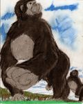  ambiguous_gender boca cloud duo gorilla grass human macro mammal micro primate sky tree 