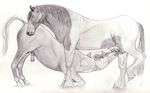  anatomically_correct anatomically_correct_penis animal_genitalia ass_up ball_licking balls darkmare duo equine erection eyes_closed feral feral_on_feral flaccid gay greyscale hooves horse horsecock licking male mammal monochrome oral pencil_(artwork) penis penis_on_head precum sketch tongue tongue_out traditional_media_(artwork) 