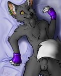  anthro balls bed_sheet canine fox gloves male mammal one_eye_closed piercing sapphire sheath solo whiskers wink 