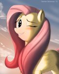  2012 blue_eyes cloud cute equine female feral fluttershy_(mlp) friendship_is_magic hair horse looking_at_viewer mammal my_little_pony one_eye_closed outside pegasus pink_hair portrait sky skyline19 solo wings wink 
