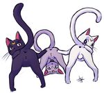  a_cat_is_fine_too anus aogami artemis_(sailor_moon) balls butt cat cute diana_(sailor_moon) feline female feral group luna_(sailor_moon) male mammal presenting presenting_hindquarters pussy sailor_moon spreading take_your_pick 