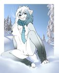  breasts canine female fur looking_at_viewer malware mammal nude pussy scarf snow solo spread_legs spreading white_fur 