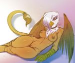  2014 anthro anthrofied avante92 avian breasts brown_feathers digital_media_(artwork) female friendship_is_magic gilda_(mlp) gryphon hair hair_over_eye looking_at_viewer my_little_pony nipples nude pussy solo white_feathers wings yellow_eyes 