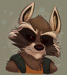  2014 abstract_background angry anthro brown_eyes brown_fur chest_tuft clothed clothing fur guardians_of_the_galaxy looking_at_viewer male mammal marvel raccoon rocket_raccoon solo thedoggygal tuft watermark 