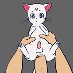  a_cat_is_fine_too abdominal_bulge anal anal_penetration animated aogami artemis_(sailor_moon) balls bestiality cat cum cum_in_ass cum_inflation cum_inside cum_while_penetrated cumshot disembodied_hand disembodied_penis duo erection excessive_cum feline feral first_person_view gay hands-free human inflation interspecies male mammal nude open_mouth orgasm penetration penis plain_background sailor_moon sex size_difference 